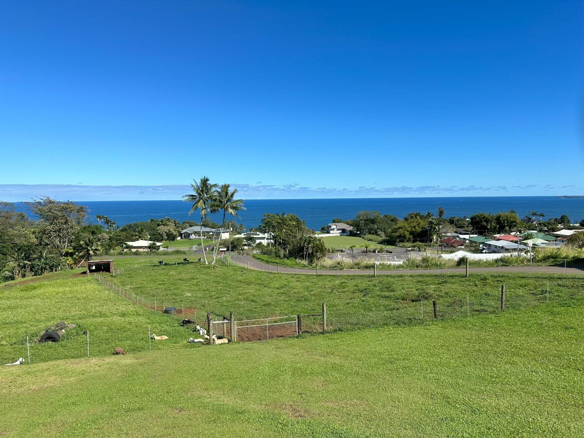 Hawaii Magic Skies Farmstay Paukaa Dış mekan fotoğraf